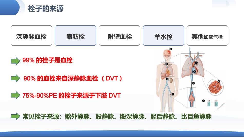 肺栓塞患者护理查房_第7页