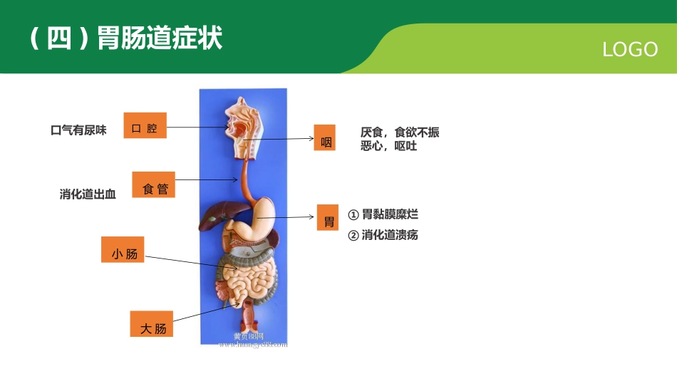 妊娠合并尿毒症疑难病例讨论_第13页