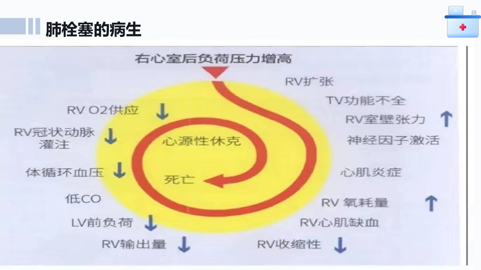 肺栓塞患者护理查房ppt课件_第9页