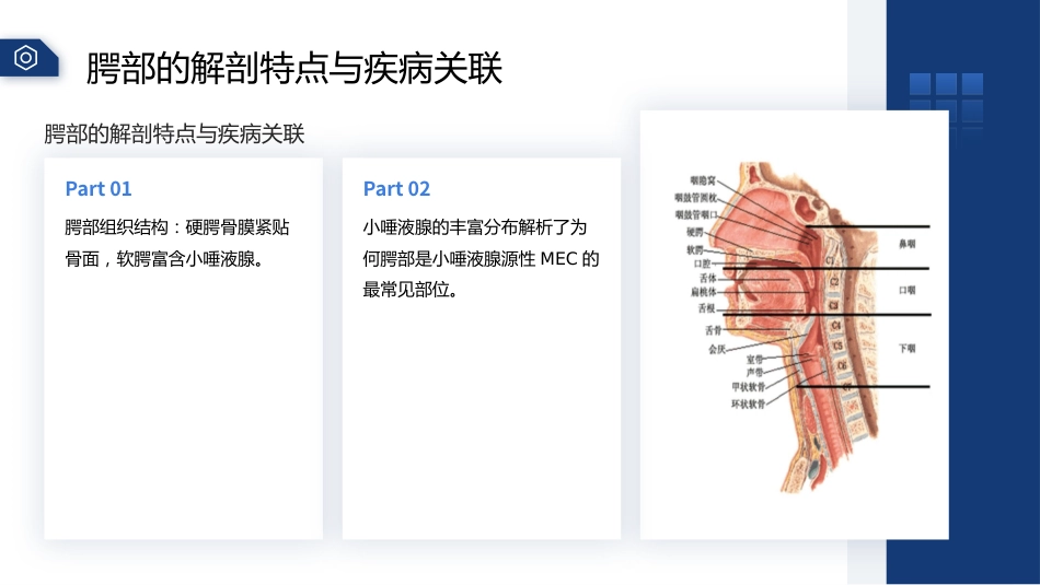 腭部黏液表皮样癌护理查房带参考文献_第6页