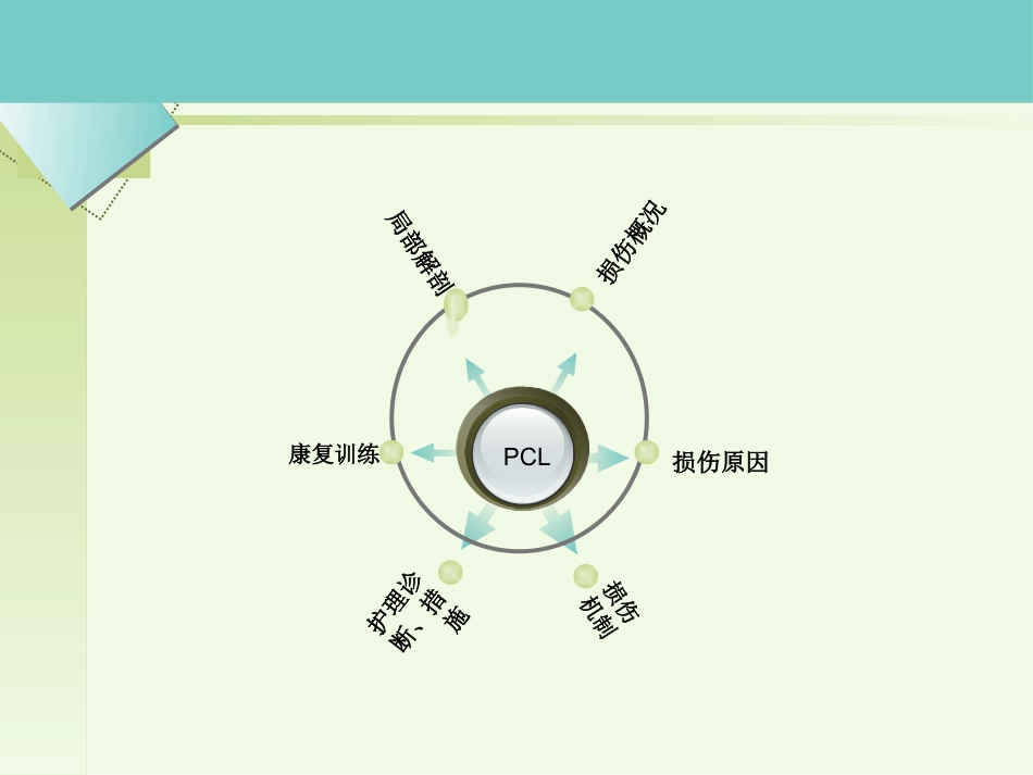 后交叉韧带重建术的护理_第2页