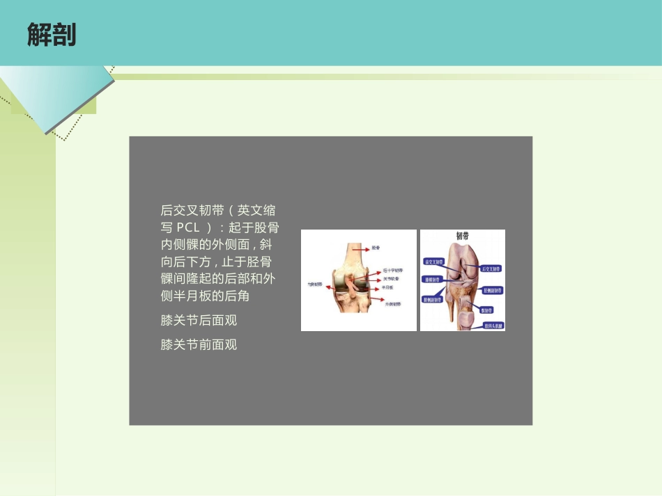 后交叉韧带重建术的护理_第4页