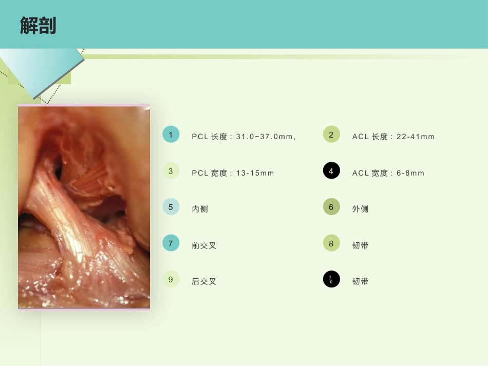 后交叉韧带重建术的护理_第6页