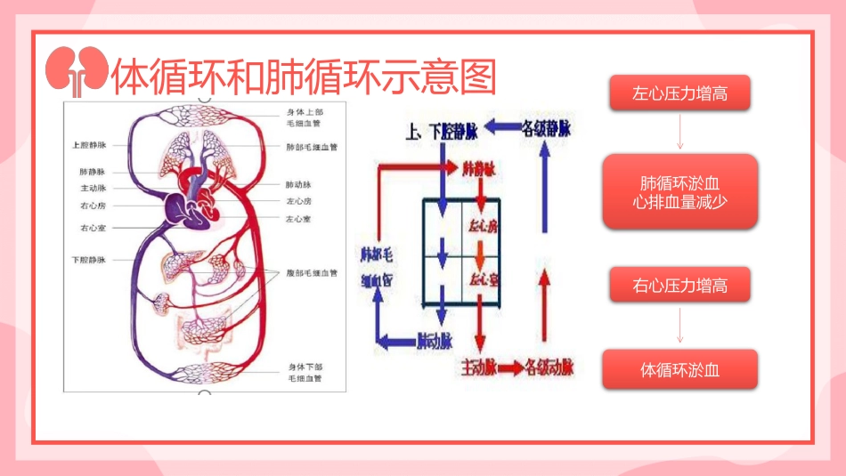 慢性心功能不全护理查房_第6页