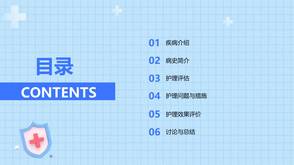 皮肌炎护理查房_第2页