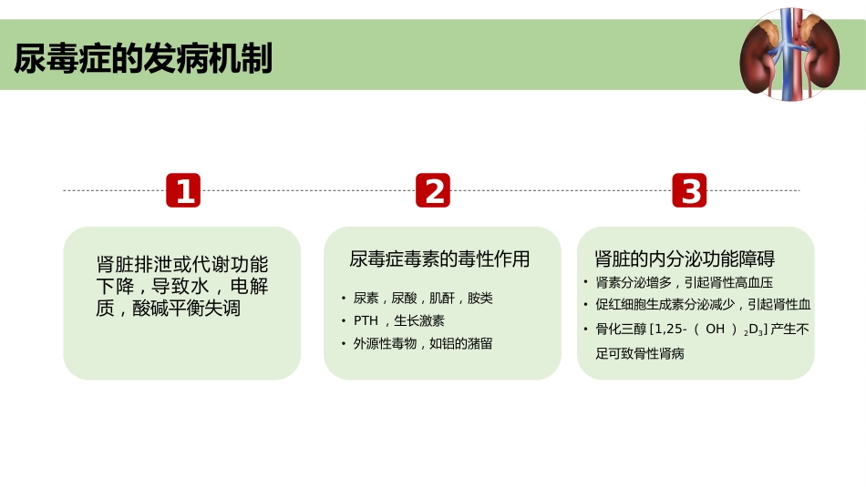尿毒症并发症急救护理ppt课件_第2页