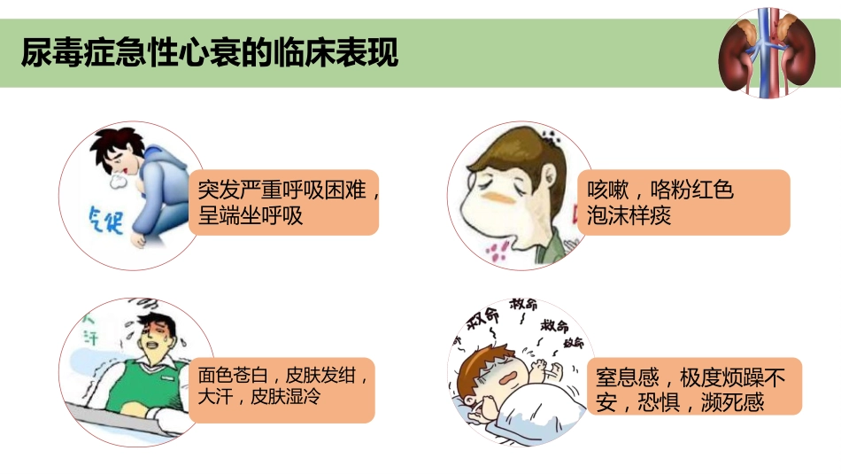 尿毒症并发症急救护理ppt课件_第7页