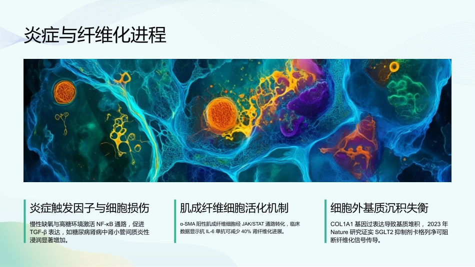 慢性肾脏病和透析课件_第10页