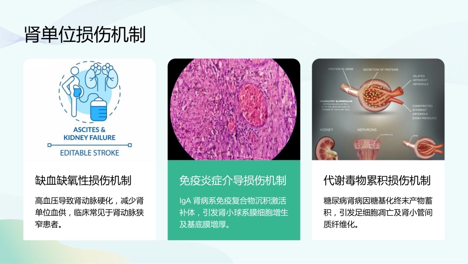慢性肾脏病和透析课件_第8页