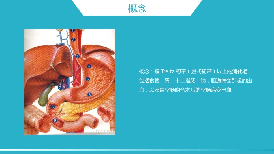 内科护理：消化道出血护理_第4页