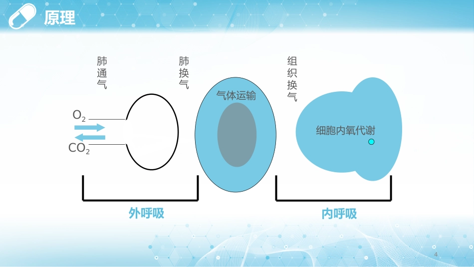 呼吸困难的护理1_第4页