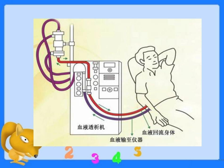 尿毒症疾病查房ppt课件_第15页