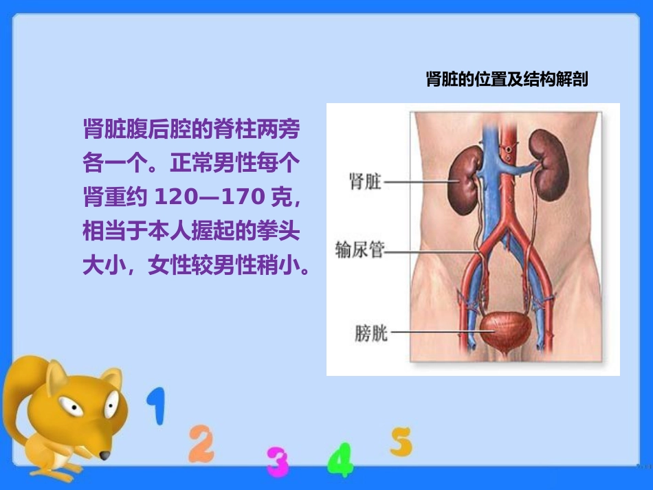 尿毒症疾病查房ppt课件_第5页
