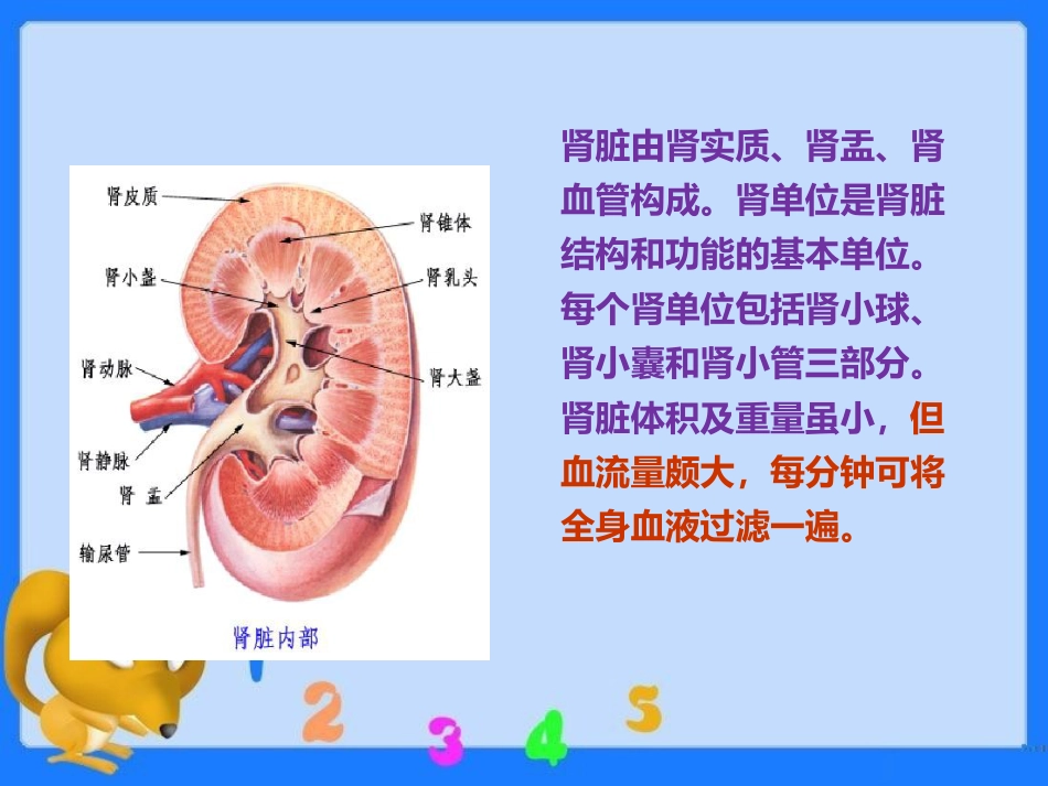 尿毒症疾病查房ppt课件_第6页