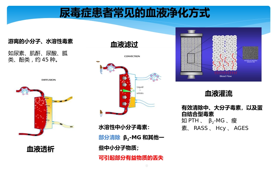 尿毒症患者科学饮食ppt课件_第6页