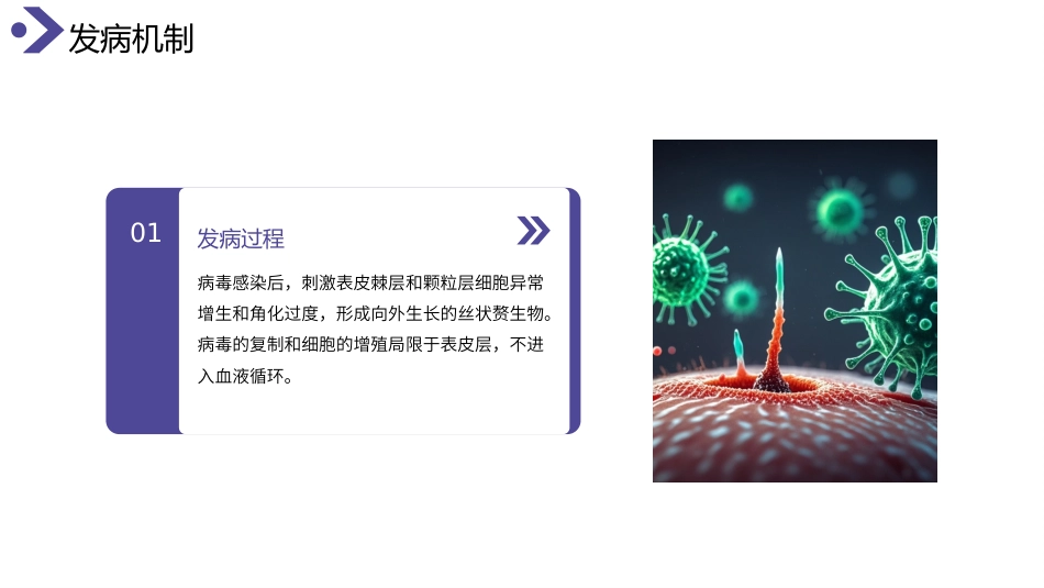 丝状疣护理查房带参考文献_第11页