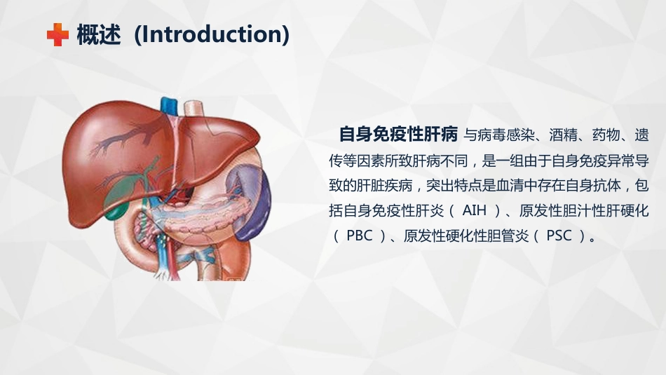 内科护理：自身免疫性肝病护理知识教案课件_第4页
