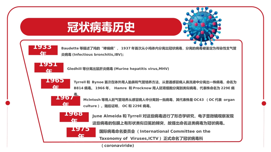 呼吸道病毒概述_第13页