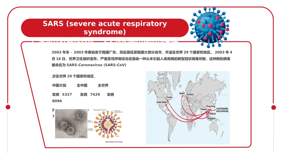 呼吸道病毒概述_第14页