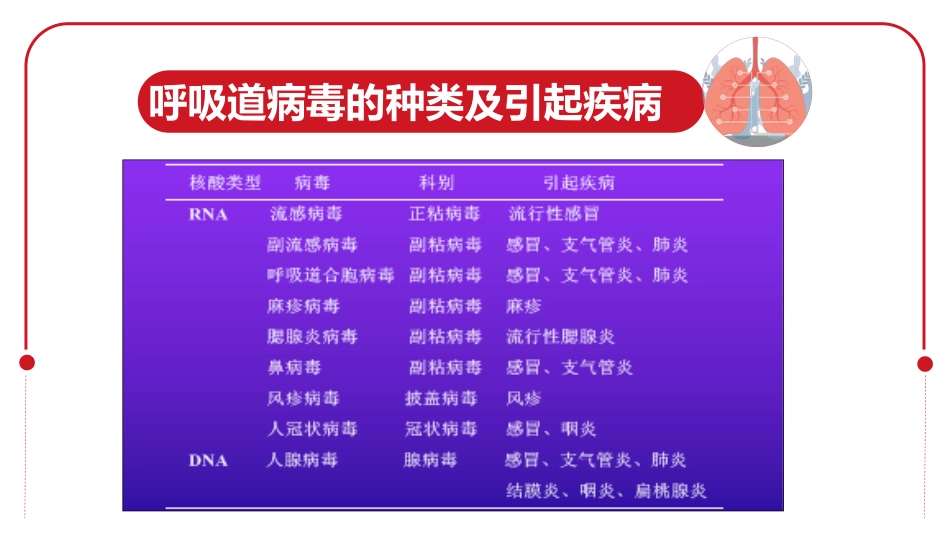 呼吸道病毒概述_第4页