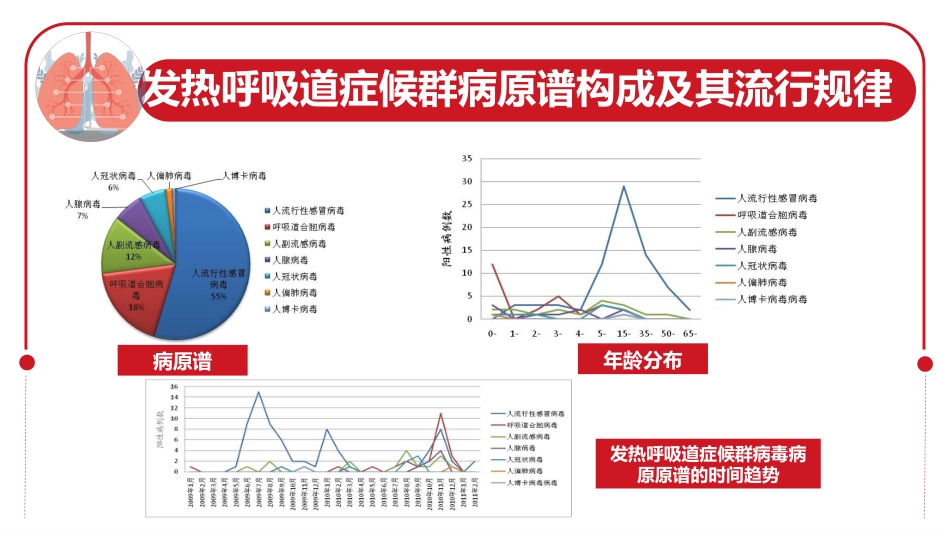 呼吸道病毒概述_第5页