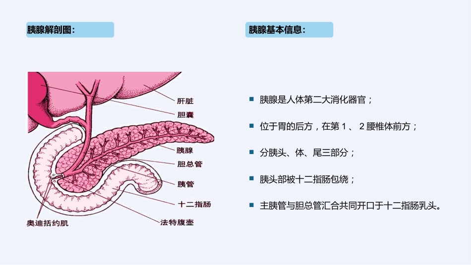 内科护理：急性胰腺炎护理查房完整分析_第7页