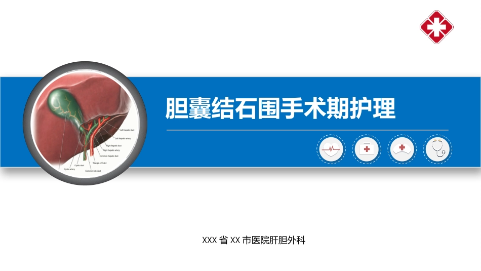 胆囊结石围手术期护理_第1页