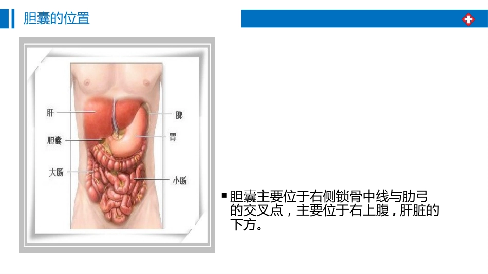 胆囊结石围手术期护理_第3页