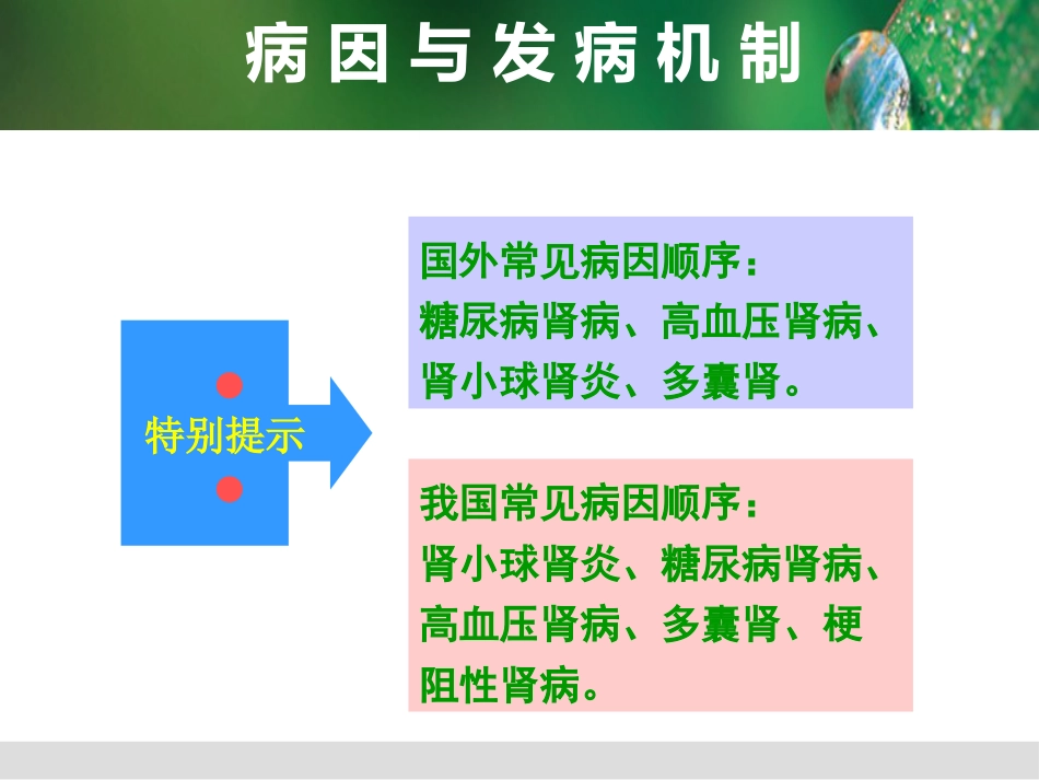 尿毒症病人的护理_第4页