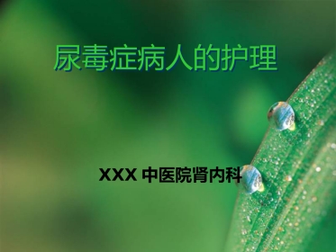 尿毒症病人的护理