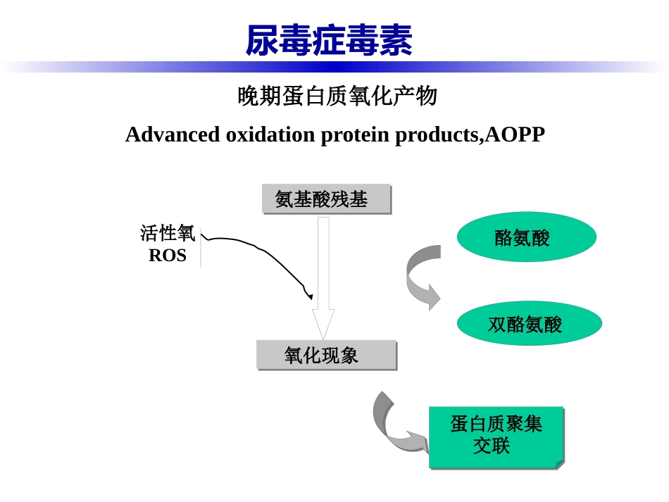 尿毒症毒素_第11页