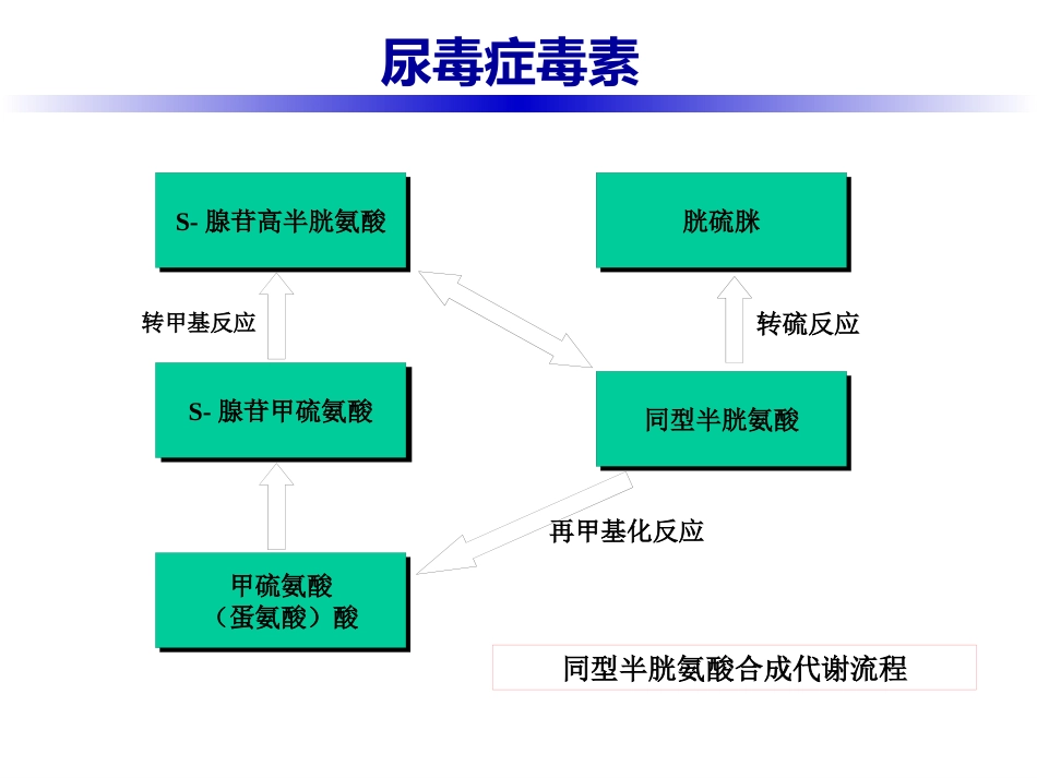 尿毒症毒素_第13页