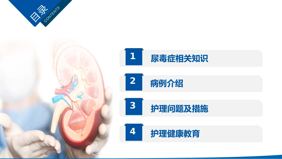 尿毒症患者护理查房_第2页