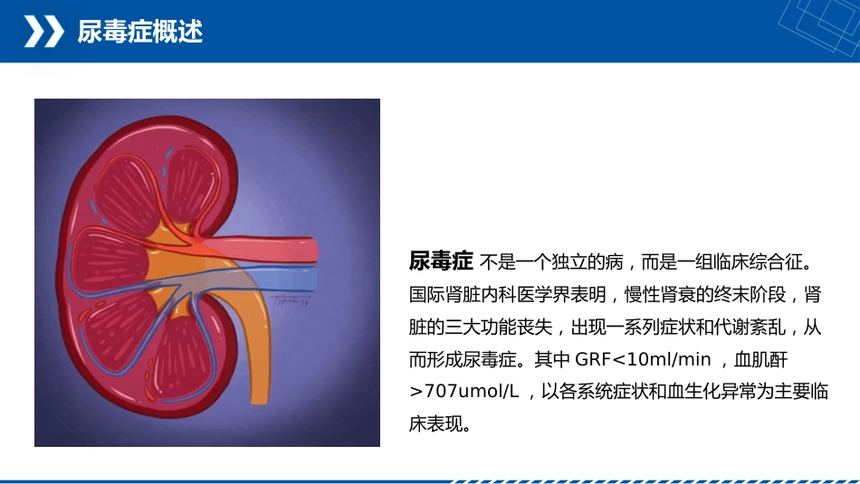 尿毒症患者护理查房_第4页