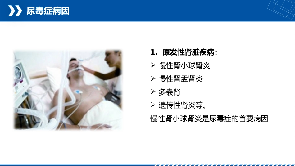 尿毒症患者护理查房_第5页