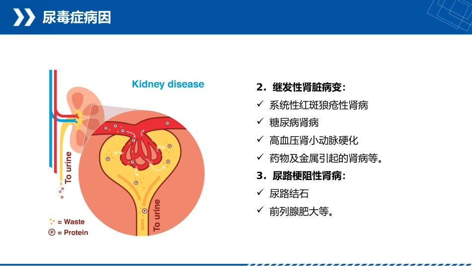 尿毒症患者护理查房_第6页
