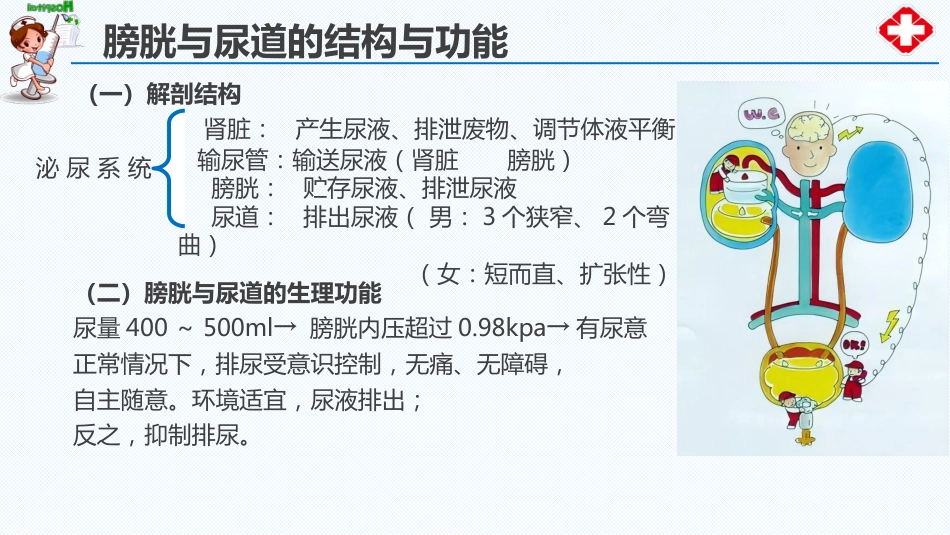 尿失禁患者的评估与护理_第11页
