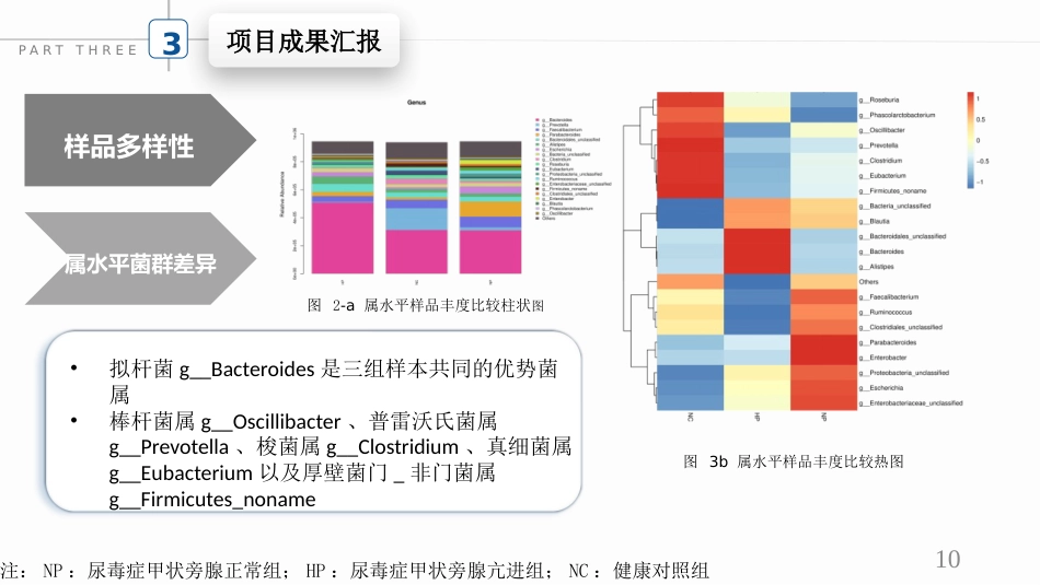 尿毒症患者肠道菌群的改善_第10页