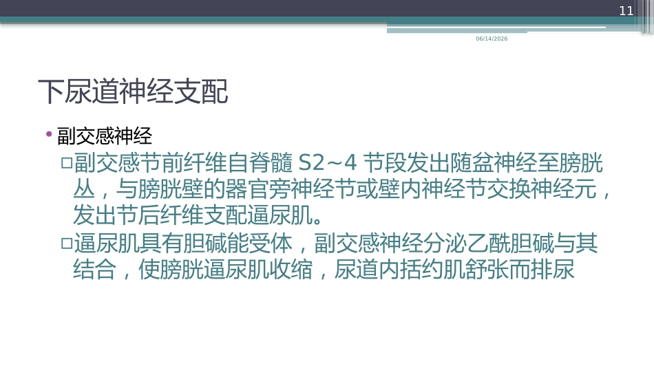 神经源性膀胱功能障碍(_第11页