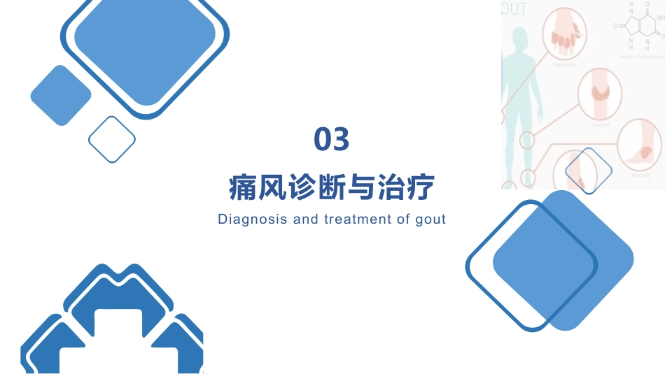 痛风患者的护理_第13页