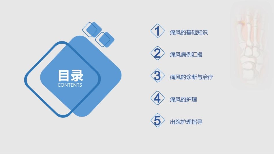 痛风患者的护理_第2页