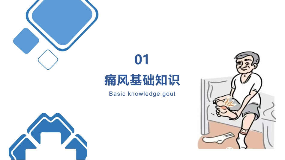 痛风患者的护理_第3页