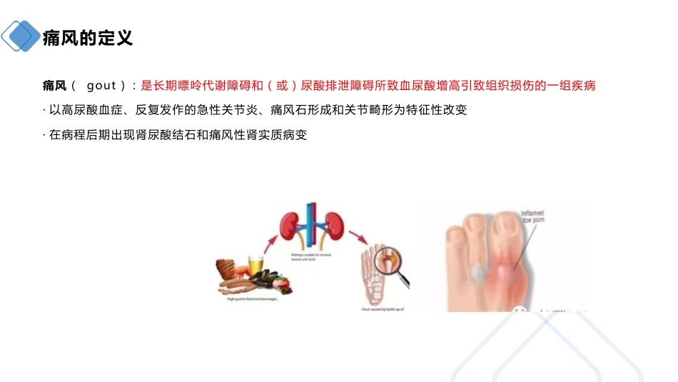 痛风患者的护理_第4页