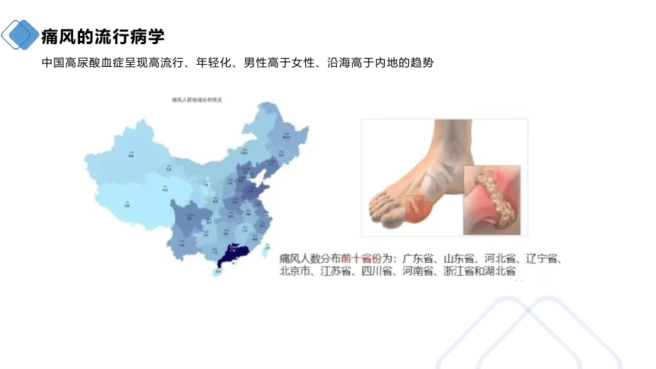 痛风患者的护理_第5页