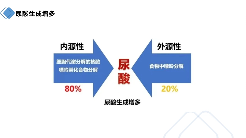 痛风患者的护理_第6页