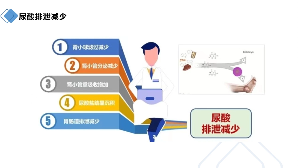 痛风患者的护理_第7页