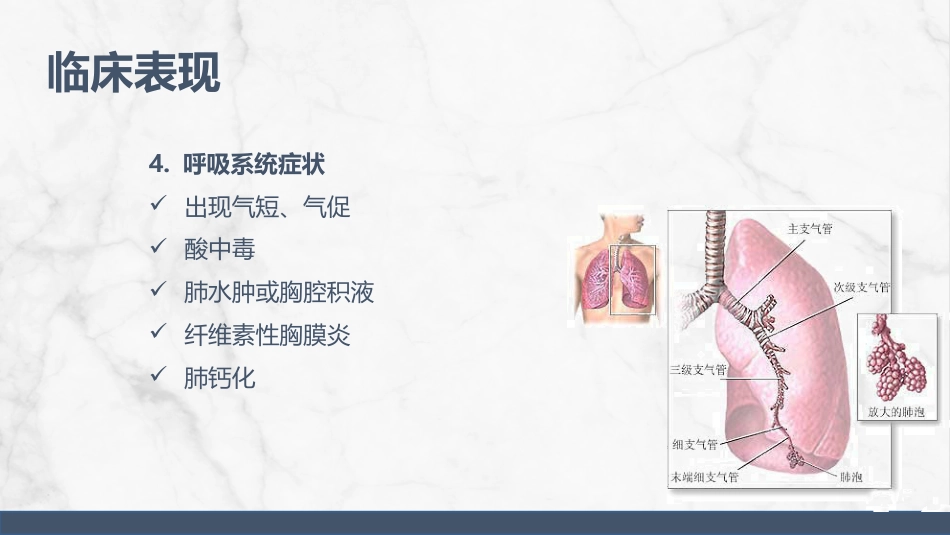尿毒症护理查房_第10页
