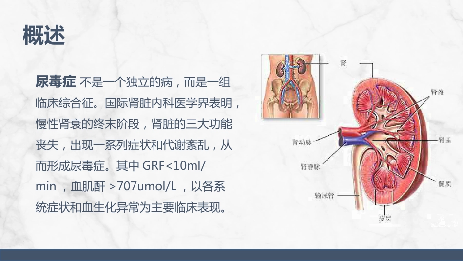 尿毒症护理查房_第4页