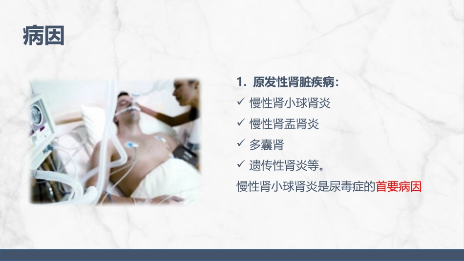 尿毒症护理查房_第5页