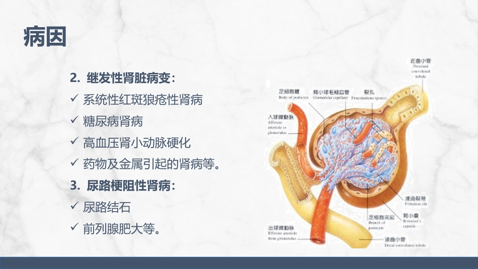 尿毒症护理查房_第6页